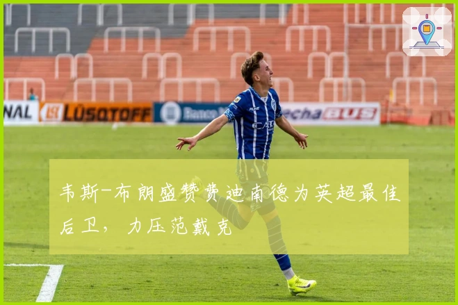 韦斯-布朗盛赞费迪南德为英超最佳后卫，力压范戴克