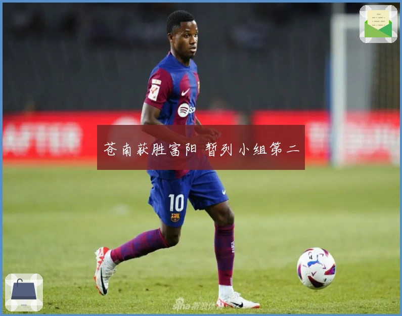 苍南获胜富阳 暂列小组第二