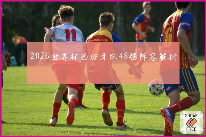 2026世界杯西班牙队48强阵容解析