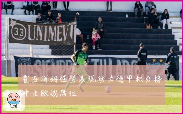 霍芬海姆强势表现助力德甲积分榜冲击欧战席位